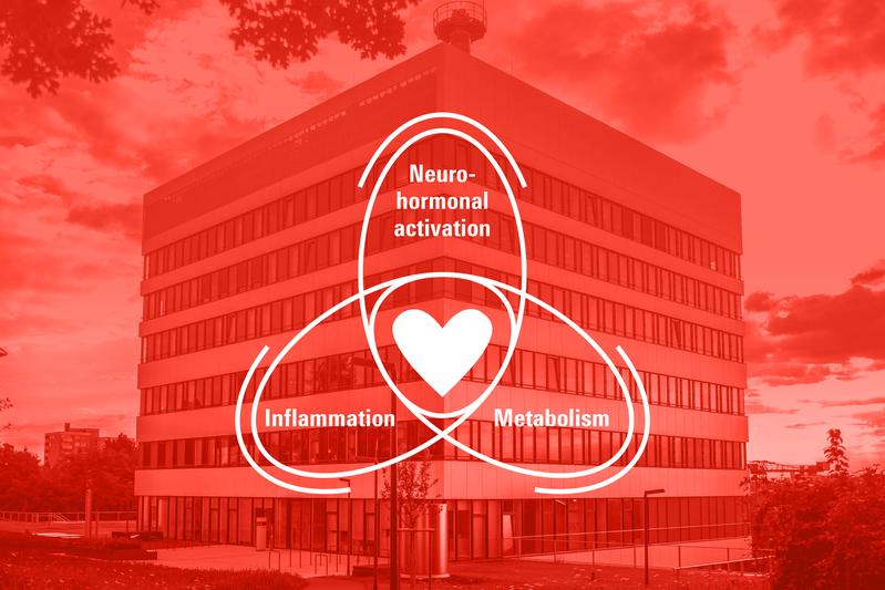 Vom 11. bis 13. Juli findet im DZHI Würzburg das Joint Symposium "Heart Failure Interfaces" statt.
