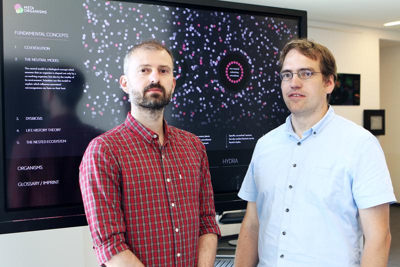 Dr. Michael Sieber (links) und Prof. Arne Traulsen vom Max-Planck-Institut für Evolutionsbiologie entwickelten gemeinsam mit Forschenden des Kieler SFB 1182 das Modell des neutralen Metaorganismus.