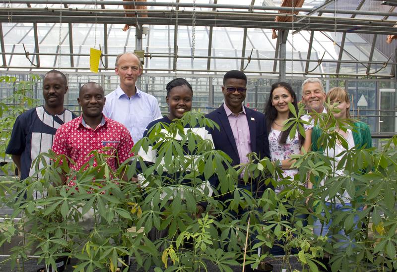 Cassava-breeder meet plant virologist at Brunswick (Germany)