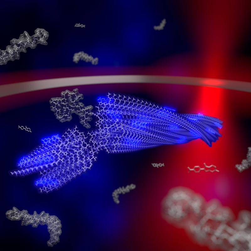 Darstellung einer wachsenden Fibrille in der Falle inklusive Laser. 