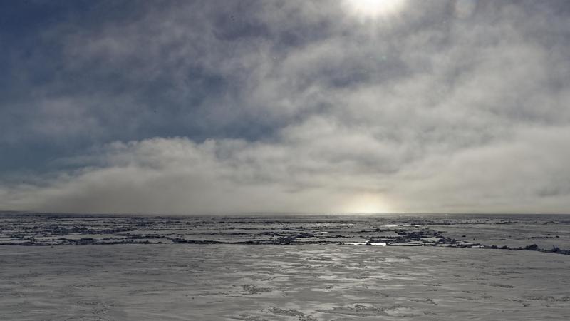 Erstmals hat ein internationales Forschungsteam Eiskeime der Atmosphäre aus Eisbohrkernen untersucht, die Hinweise zur Art der Bewölkung der letzten 500 Jahre in der Arktis geben.