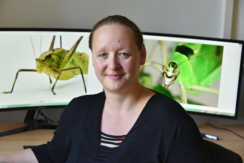 Manuela Nowotny erforscht Laubheuschrecken, deren Hörapparat nach dem gleichen mechanischen Prinzip wie der menschliche arbeitet, aber viel einfacher strukturiert ist. 
