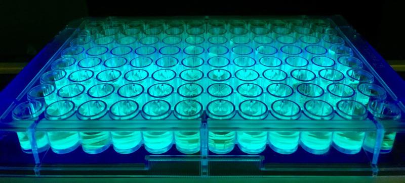 Screening of a variety of possible substrates in the presence of a photocatalyst.