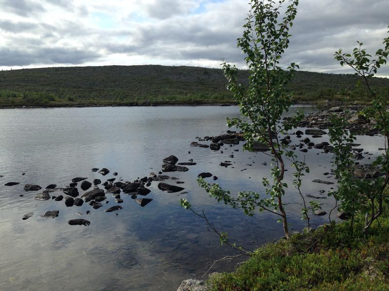 In diesem finnischen See wurde der Wasserfloh erstmals lebend gefunden.