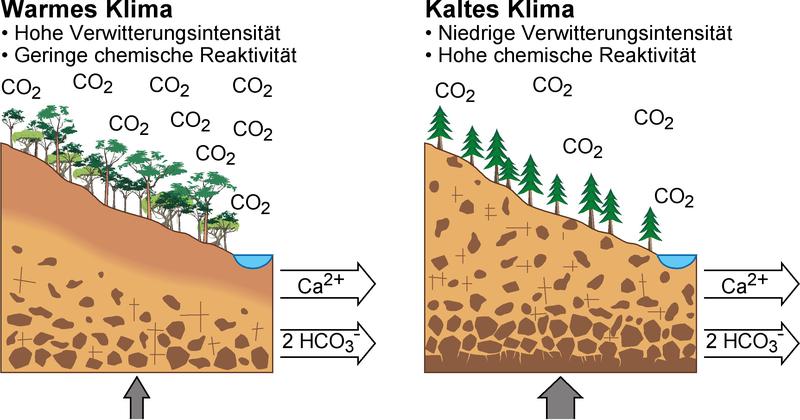 Befinden sich mehr unverwitterte Mineralkörner im Boden, kann dieser mit wenig CO2 ebenso umfangreich chemisch reagieren wie ein bereits stark verwitterter Boden mit viel CO2.