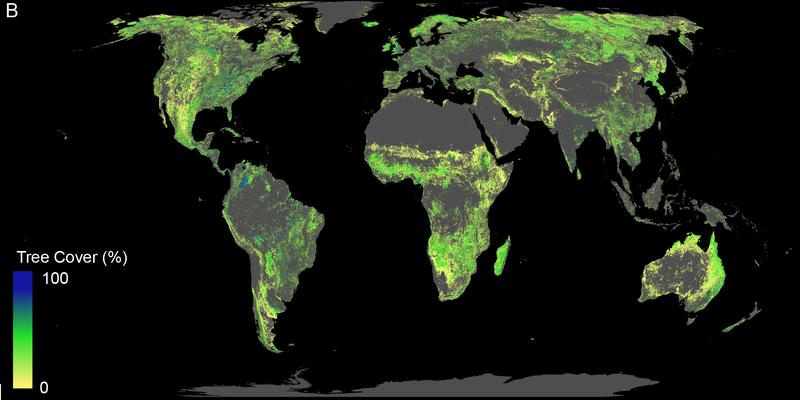 Bild B zeigt die Fläche, die für die Wiederaufforstung von Wäldern verfügbar ist (ohne Landwirtschaftsflächen, Wüsten und Städte).