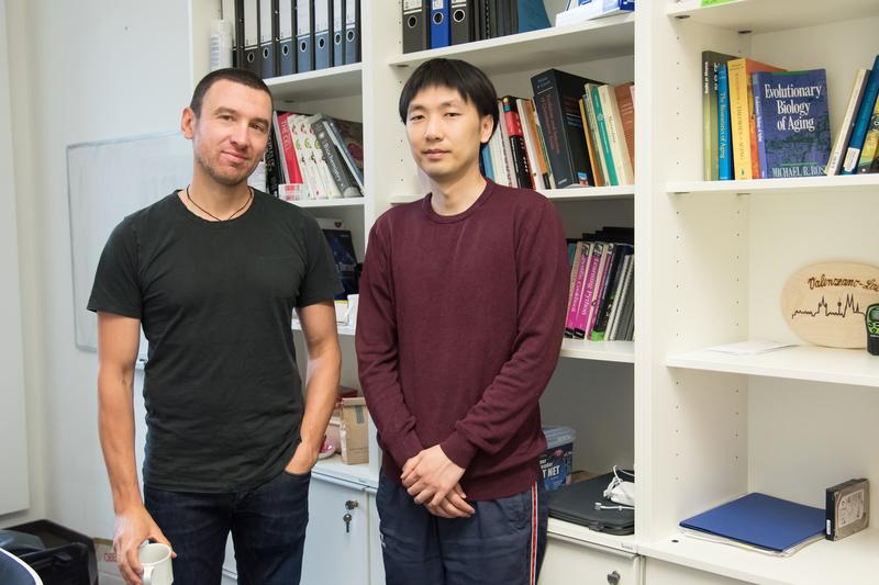 Max-Planck-Forscher Dario Riccardo Valenzano (links) und Rongfeng Cui.