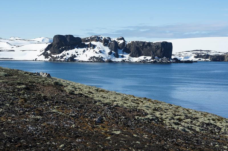 Blick über eine artenreiche Flechtengemeinschaft aus Strauch- und Krustenflechten zur Fildes-Halbinsel, King George Island, Antarktis.