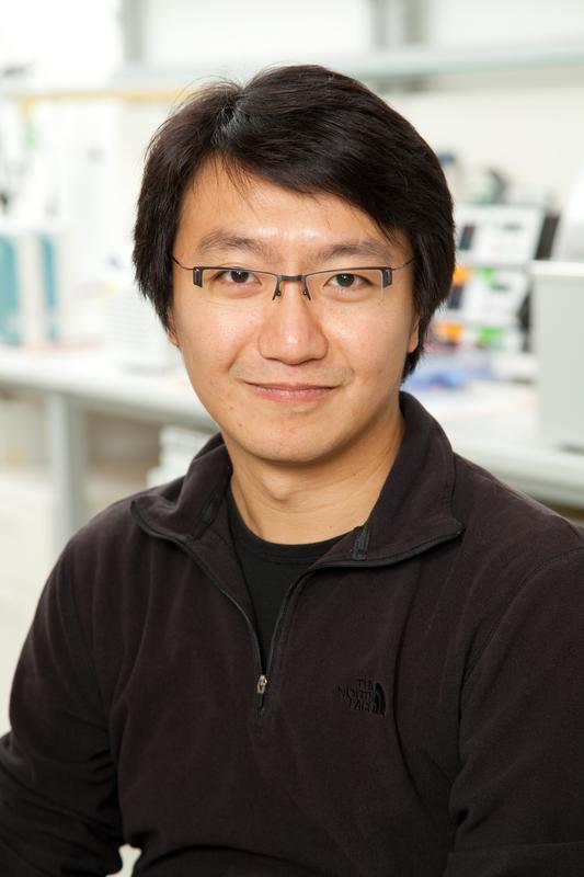Dr. Frank Chan, Forschungsgruppenleiter am Friedrich-Miescher-Laboratorium 