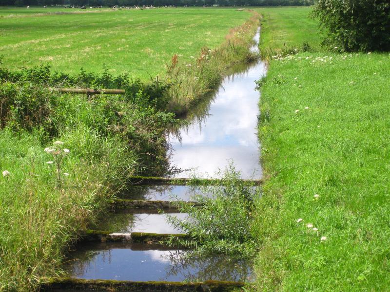 Landwirtschaftliche Nutzung von moorigen Böden: ein kritischer Punkt im Hinblick auf die Klimawirkung