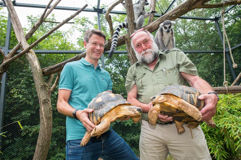 Das Blut der Strahlenschildkröten untersuchten Bioinformatik-Professor Andreas Keller und Zoodirektor Richard Francke als erstes. 