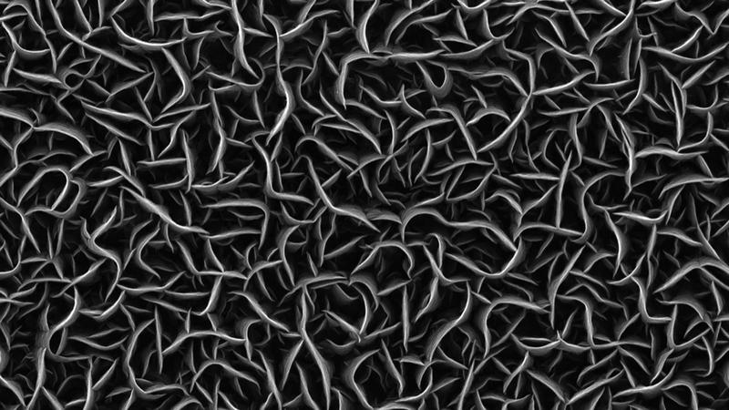 Rasterelektronenmikroskopische Aufnahme der nur wenige Nanometer dünnen Wände aus Kohlenstoff.