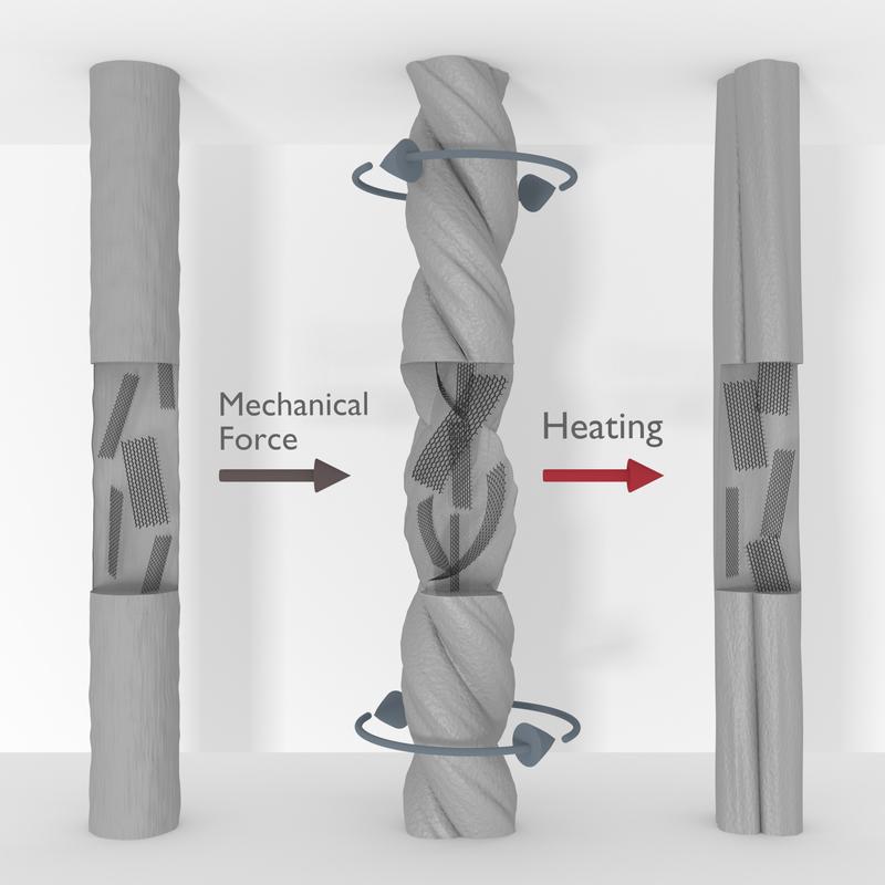 The poly(vinyl alcohol) micro-fibres contain graphene oxide sheets. The nanosheets stiffen the fibres in the direction of movement and enable an energy storage system.