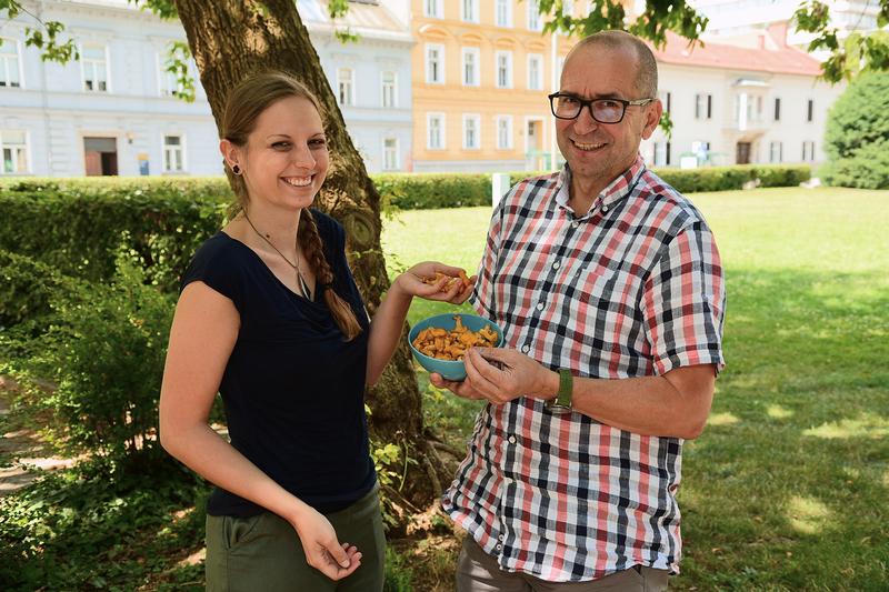 Walter Gössler und Simone Bräuer untersuchten, was in heimischen Pilzen steckt.