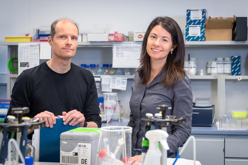 Prof. Ulrich Gerland und Mitautorin Elena Biselli im Labor. 