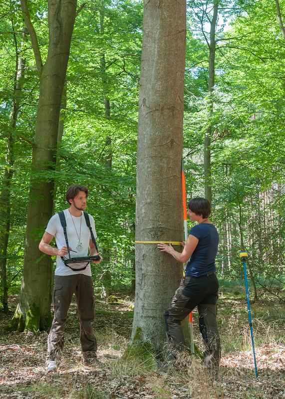 Inventurteam bei der Vermessung im Wald