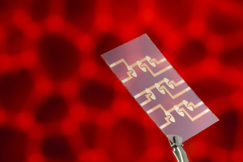 Multi-Elektrodenlayout zur parallelen Untersuchung mehrerer Zellproben in Mikrofluidik-Chips. 