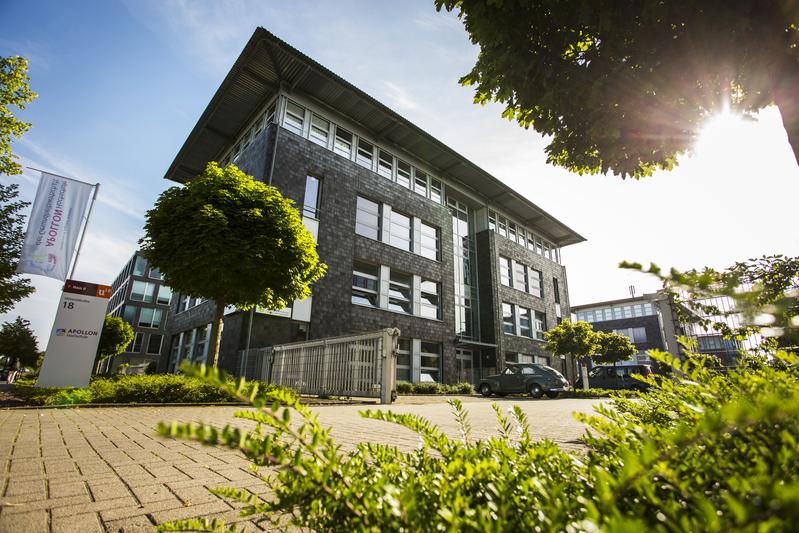 Die APOLLON Hochschule der Gesundheitswirtschaft übernimmt die Baumpatenschaft für eine Stieleiche im Bremer Bürgerpark