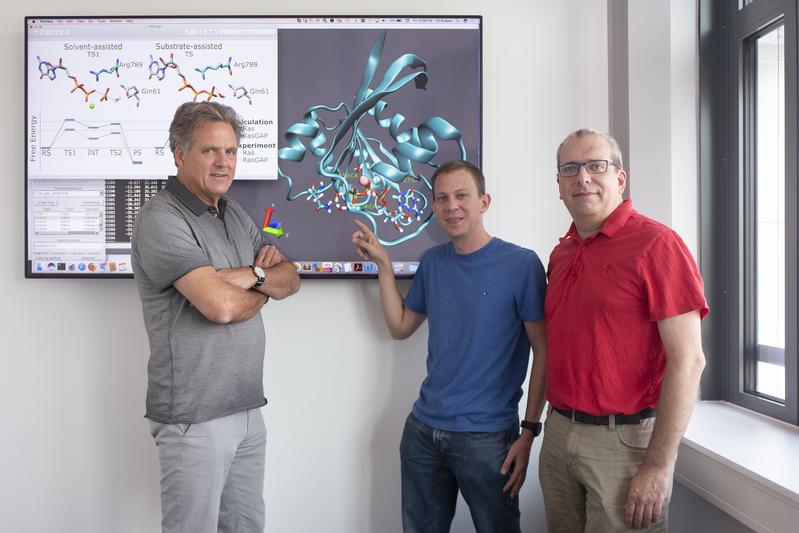  Klaus Gerwert, Till Rudack und Carsten Kötting (von links) forschen schon seit Jahren an Schalterproteinen, zu denen auch das hier gezeigte Ras-Protein gehört.