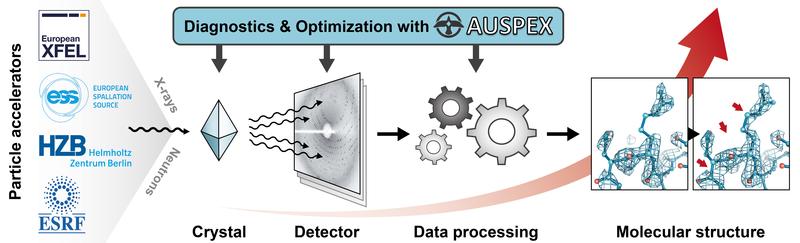 AUSPEX improves the efficiency and quality of the measurement of biological macromolecular structures through new, innovative diagnostics 