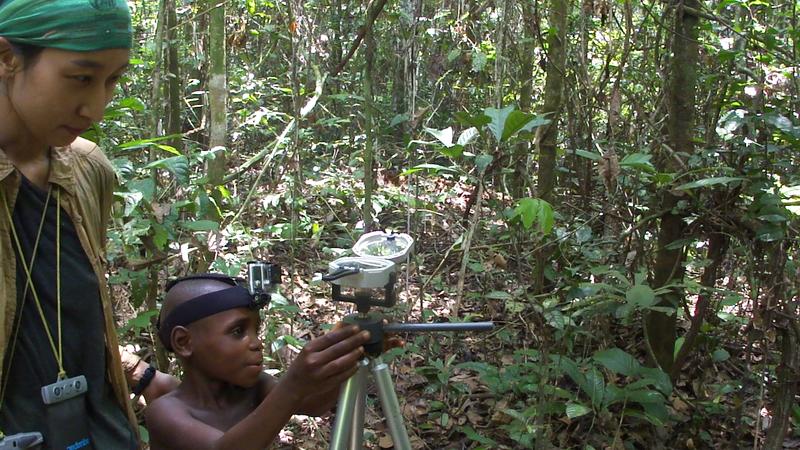 Ein 8,5 Jahre alter Mbendjele Junge zeigt in die Richtung, in der sich eine bekannte Nahrungsquelle befindet. Hier im Bild mit Forscherin Haneul Jang im tropischen Regenwald in der Republik Kongo.