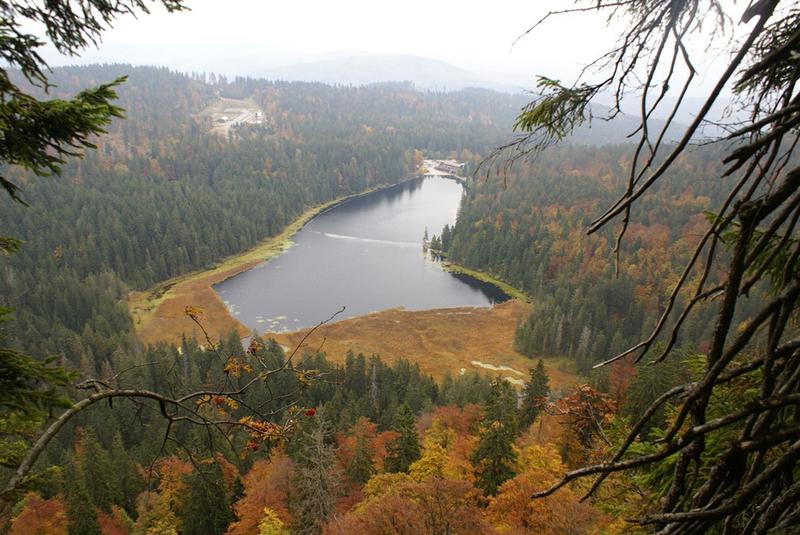 Der Blick auf den Großen Arbersee zeigt die landschaftlichen Besonderheiten des Böhmerwaldes, wo noch weitläufige Wälder und Feuchtgebiete zu finden sind.