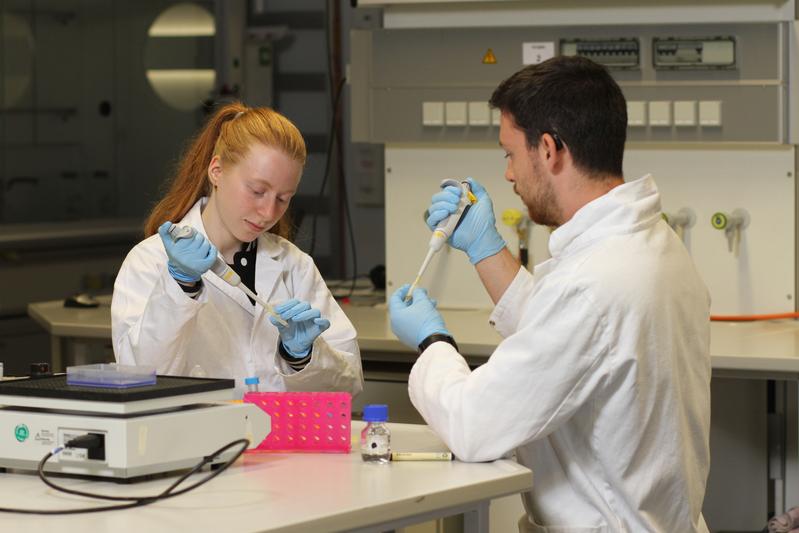 Praktisches Arbeiten spielt im Biologie-Studium an der TU Kaiserslautern eine große Rolle.