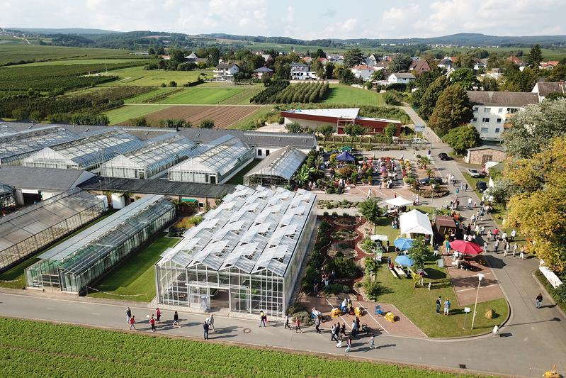 Die Gewächshäuser und Freilandflächen der Hochschule Geisenheim entdecken Interessierte im Rahmen des Open Campus.