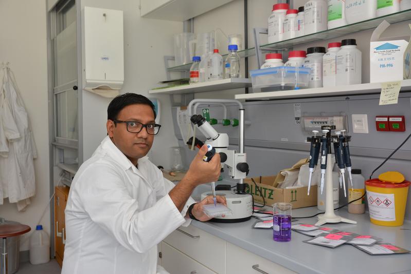 Dr. Samik Bhattacharya bei der Untersuchung der Keimfähigkeit von Saatgut aus der Loki-Schmidt-Genbank für Wildpflanzen des Botanischen Gartens der Universität Osnabrück.