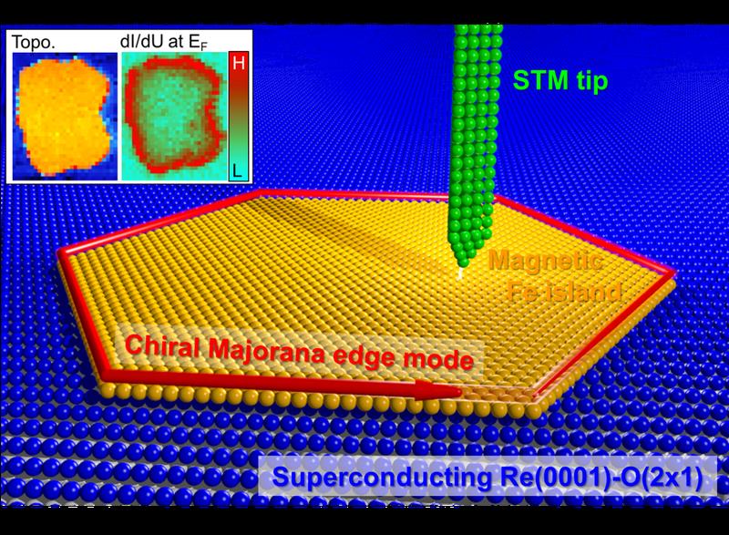 The chiral Majorana edge mode emerging at the periphery of a 2D topological superconductor consisting of a magnetic iron island on top of an oxygen-reconstructed  superconducting rhenium  surface.