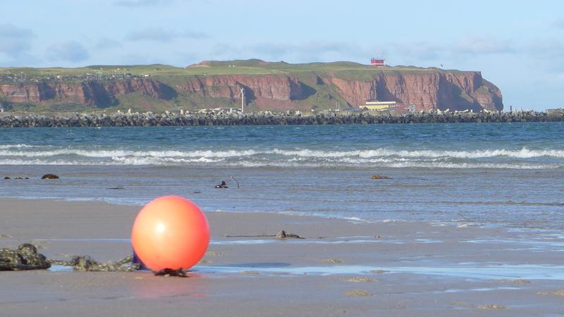 Helgoland ist Deutschlands einzige echte Hochseeinsel, bekannt eher für Seevögel, Robben und zollfreies Einkaufen als für Algen. Die MPI-Forscher interessierte das Schicksal der Algen nach deren Tod.