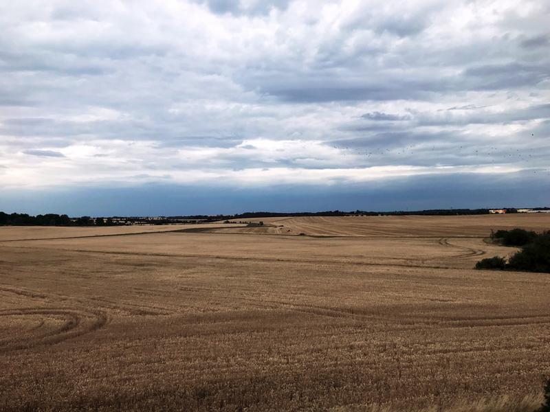 Monotone Landschaften sind das Ergebnis intensiver Landwirtschaft. Mit dem Reformvorschlag der EU könnte laut den Forschern die Intensivierung unvermindert weitergehen.