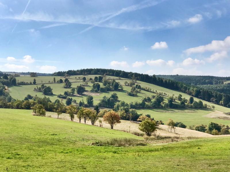 Eine strukturreiche Landschaft im Erzgebirge. Die EU-Landwirtschaftspolitik bestimmt die Entwicklung solcher ländlichen Räume. 
