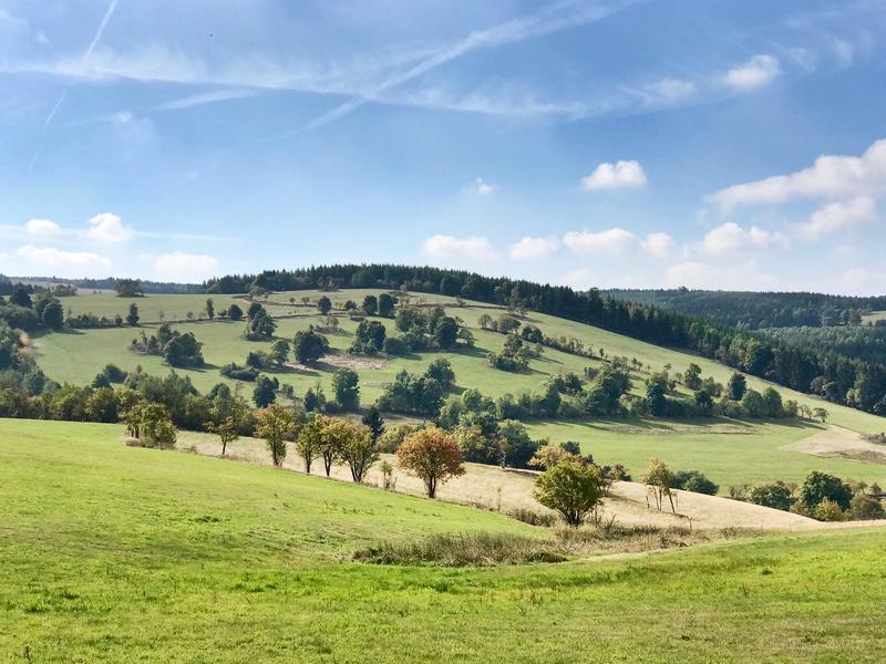 A mosaic landscape in the Erzgebirge. The Common Agricultural Policy of the EU determines the future of biodiversity and farmers in such rural areas.