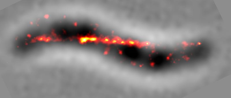 Superauflösende Fluoreszenzmikroskopie lebender Zellen zeigt, wie das MamY-Protein in der Zelle angeordnet ist: Es folgt der stärksten Krümmung der inneren Zelloberfläche.