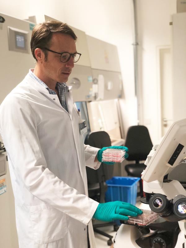Dr. med. Timon Seeger mit Zellkulturen in seinem Labor im Universitätsklinikum Heidelberg. 