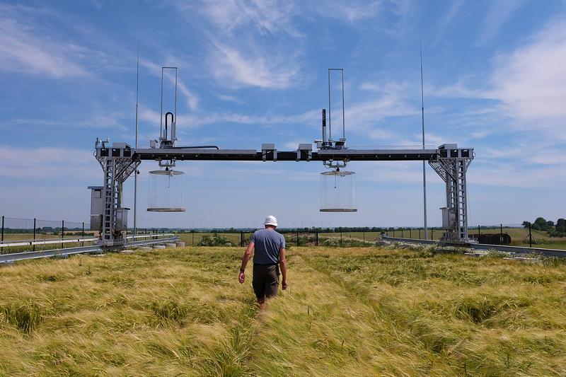 Der vom ZALF entwickelte Portalkran mit  Gasmesshauben auf der CarboZALF Fläche im Landschaftslabor AgroScapeLab Quillow in der Uckermark. 