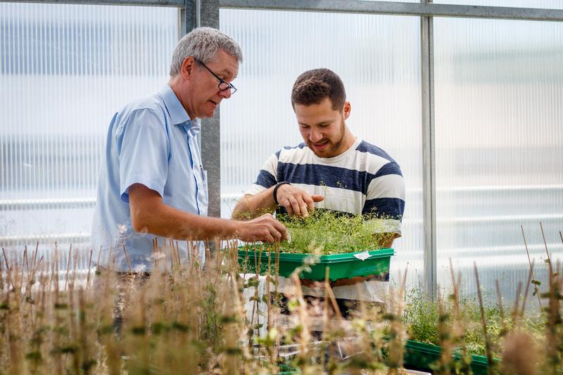 Prof. Ivo Feußner lässt sich den Wachstumsstand der Pflanzen von Dmitrij Rekhter zeigen.