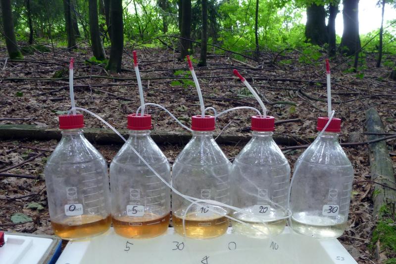 Visibly different constitution of organic compounds in soil water from different depths.