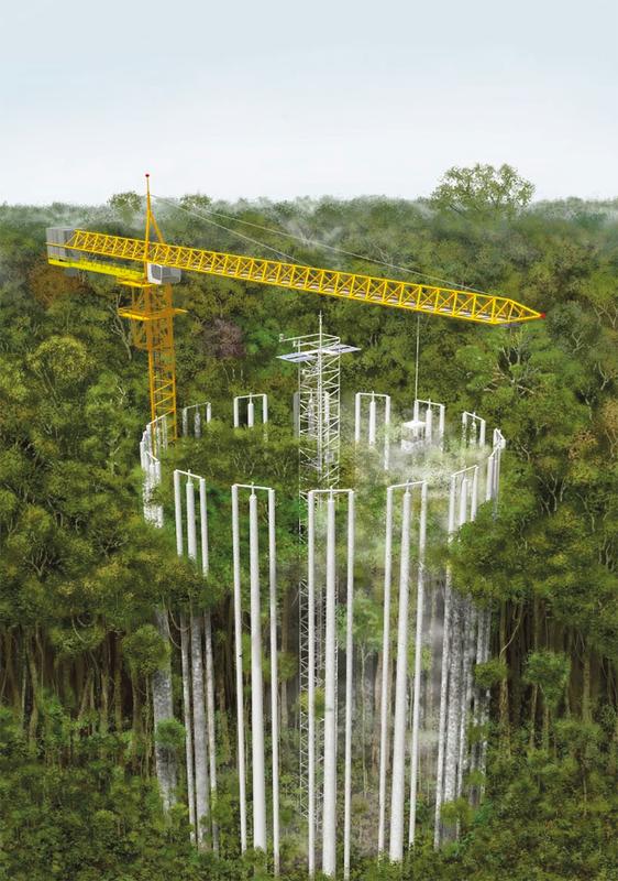 AmazonFACE-Experiment in einem artenreichen Regenwald in Brasilien.