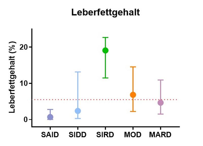 Neue Subphänotypen: Risiko für eine Fettlebererkrankung