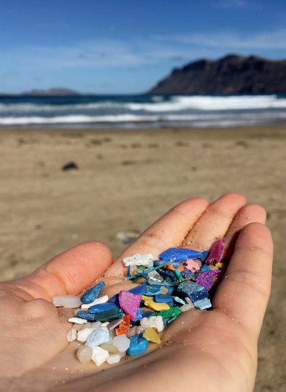 Depressing "hand selfie": Marine pollution with plastics is omnipresent, be it at deserted at dream beaches like here on Lanzarote or in even more remote regions like the Arctic.