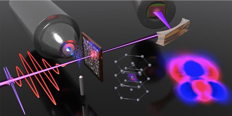 Light-induced electron localization dynamics in transition metals were investigated with attosecond transient absorption spectroscopy and first-principles simulations.