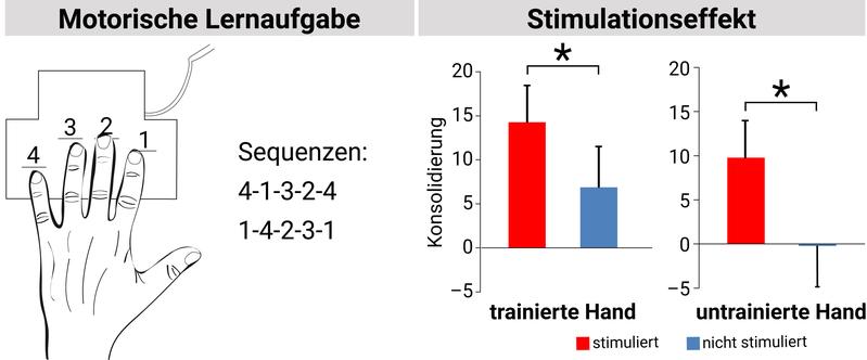 Wenn das Gehirn in den Pausen zwischen den kurzen Übungseinheiten stimuliert wurde, konnte die geübte Zahlen-Abfolge mit der trainierten Hand besser abgerufen werden. 