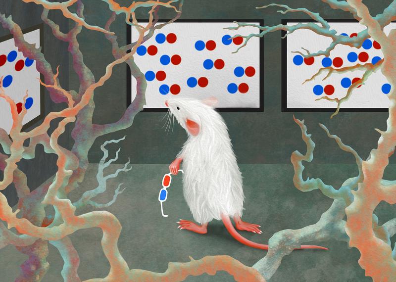 Schauen Mäuse durch 3D-Brillen auf nahe Objekte, werden in ihrem Gehirn Nervenzellen der RL-Region aktiv. 
