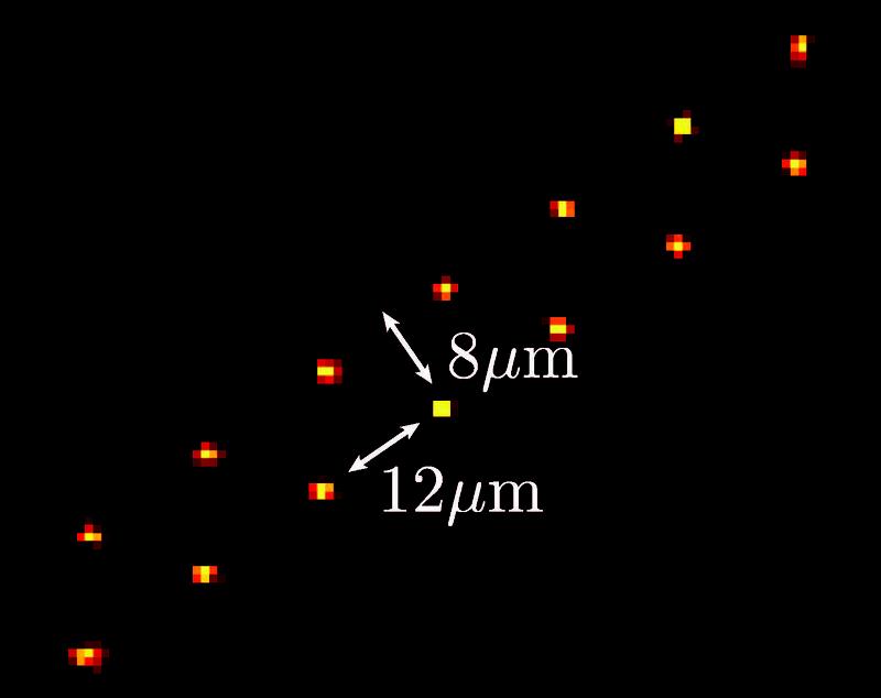 Photo des künstlichen Systems von 14 individuell gefangenen und präzise platzierten Atomen, in dem die topologische Phase realisiert  worden ist. 