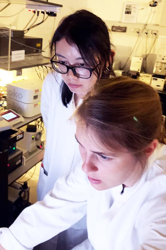 Early career researchers Saskia Heybrock from the Institute of Biochemistry at Kiel University (in front) and her colleague Ying Meng from Zhejiang University worked on the new biochemical findings.