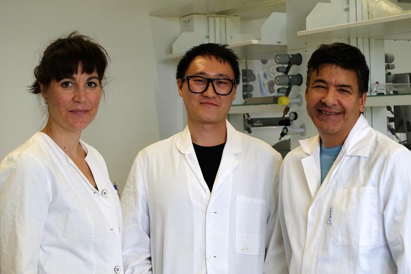 Bilden das Projektteam an der FH Bielefeld (v.l.): Dr. Désirée Jakobs-Schönwandt, Doktorand Yi Qu und Prof. Dr. Anant Patel.