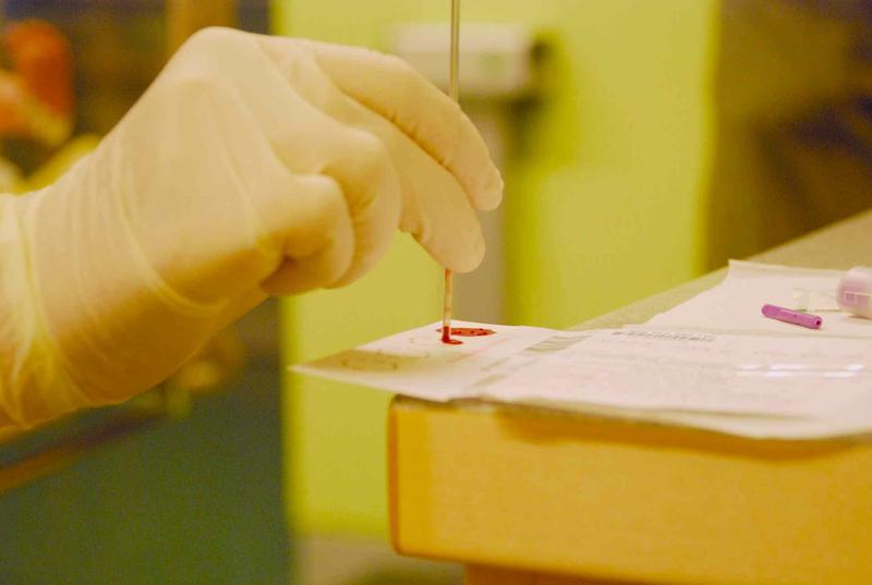 Das Blut wird auf ein Papier getropft, das es aufsaugt. Die Karte mit den Angaben zu dem Baby wird dann an einen Standort des Screeningzentrums Sachsen geschickt. 