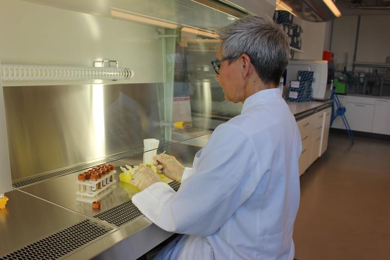 Aus Stuhlproben wird die DNA der Darmbakterien extrahiert.  Anhand der DNA analysieren die Wissenschaftlerinnen und Wissenschaftler des IKMB (CAU) die Zusammensetzung des Darmmikrobioms.